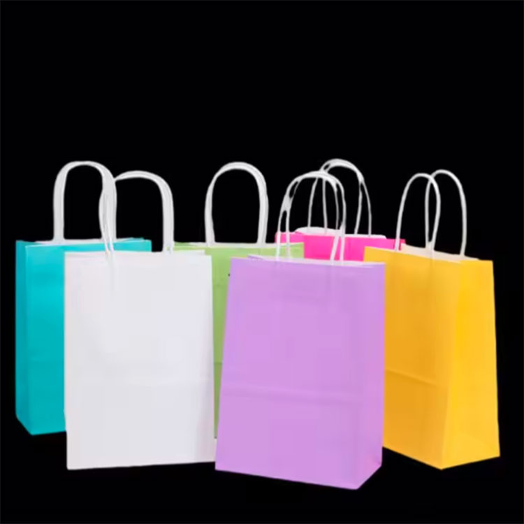 Printed Shopping Gift Paper Bag